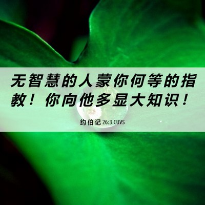 Picture 06 - 约 伯 记 26:3 CUVS - 无 智 慧 的 人 蒙 你 何 等 的 指 教 - Bible Verse Picture