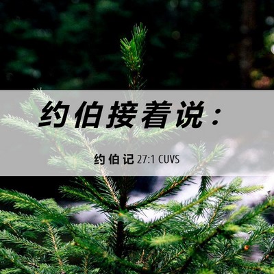 Picture 06 - 约 伯 记 27:1 CUVS - 约 伯 接 着 说 - Bible Verse Picture