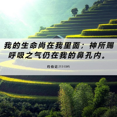 Picture 06 - 约 伯 记 27:3 CUVS - 我 的 生 命 尚 在 我 里 面 ； 神 所 - Bible Verse Picture