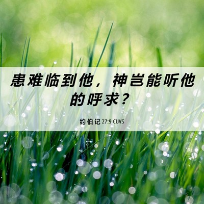 Picture 06 - 约 伯 记 27:9 CUVS - 患 难 临 到 他 ， 神 岂 能 听 他 的 - Bible Verse Picture