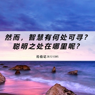 Picture 06 - 约 伯 记 28:12 CUVS - 然 而 ， 智 慧 有 何 处 可 寻 ？ 聪 - Bible Verse Picture