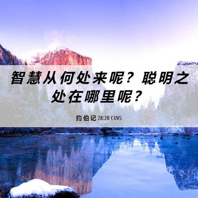 Picture 06 - 约 伯 记 28:20 CUVS - 智 慧 从 何 处 来 呢 ？ 聪 明 之 处 - Bible Verse Picture