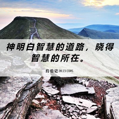 Picture 06 - 约 伯 记 28:23 CUVS - 神 明 白 智 慧 的 道 路 ， 晓 得 智 - Bible Verse Picture