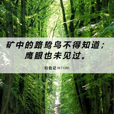 Picture 06 - 约 伯 记 28:7 CUVS - 矿 中 的 路 鸷 鸟 不 得 知 道 ； 鹰 - Bible Verse Picture