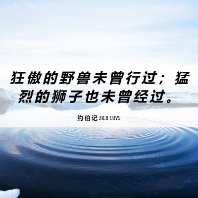 Picture 06 - 约 伯 记 28:8 CUVS - 狂 傲 的 野 兽 未 曾 行 过 ； 猛 烈 - Bible Verse Picture