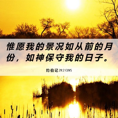 Picture 06 - 约 伯 记 29:2 CUVS - 惟 愿 我 的 景 况 如 从 前 的 月 份 - Bible Verse Picture