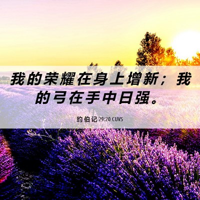 Picture 06 - 约 伯 记 29:20 CUVS - 我 的 荣 耀 在 身 上 增 新 ； 我 的 - Bible Verse Picture