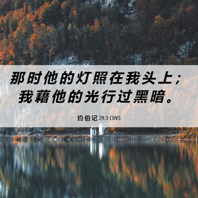 Picture 06 - 约 伯 记 29:3 CUVS - 那 时 他 的 灯 照 在 我 头 上 ； 我 - Bible Verse Picture
