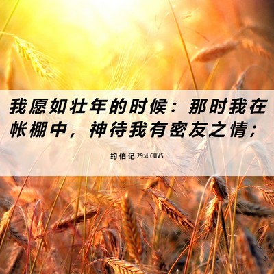 Picture 06 - 约 伯 记 29:4 CUVS - 我 愿 如 壮 年 的 时 候 ： 那 时 我 - Bible Verse Picture