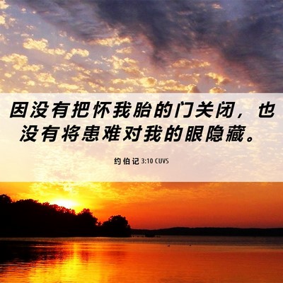 Picture 06 - 约 伯 记 3:10 CUVS - 因 没 有 把 怀 我 胎 的 门 关 闭 ， - Bible Verse Picture