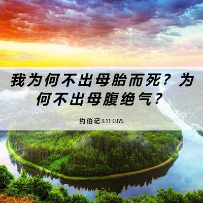 Picture 06 - 约 伯 记 3:11 CUVS - 我 为 何 不 出 母 胎 而 死 ？ 为 何 - Bible Verse Picture