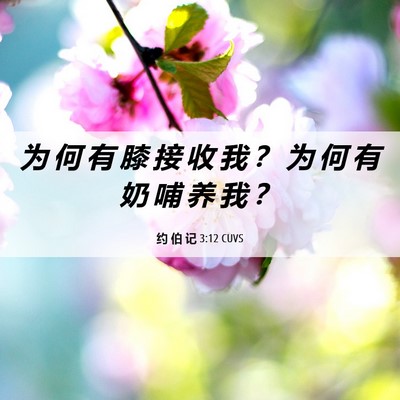 Picture 06 - 约 伯 记 3:12 CUVS - 为 何 有 膝 接 收 我 ？ 为 何 有 奶 - Bible Verse Picture