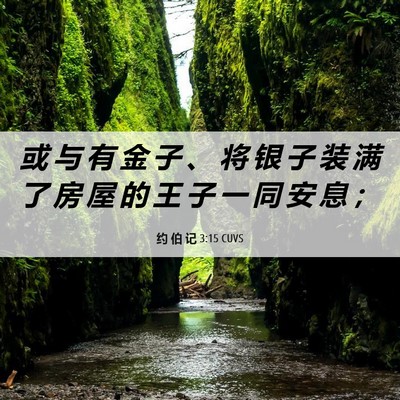Picture 06 - 约 伯 记 3:15 CUVS - 或 与 有 金 子 、 将 银 子 装 满 了 - Bible Verse Picture