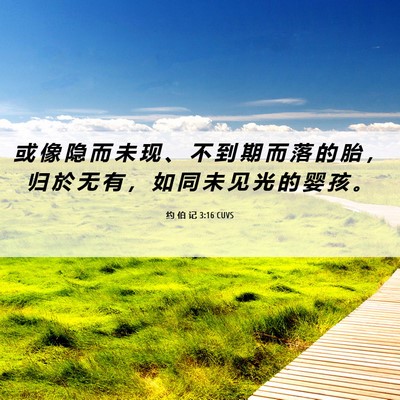 Picture 06 - 约 伯 记 3:16 CUVS - 或 像 隐 而 未 现 、 不 到 期 而 落 - Bible Verse Picture