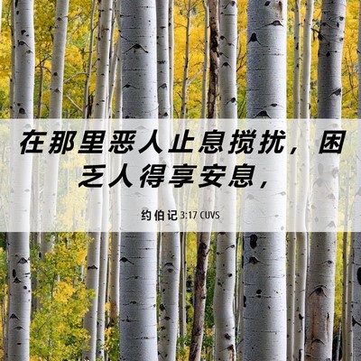 Picture 06 - 约 伯 记 3:17 CUVS - 在 那 里 恶 人 止 息 搅 扰 ， 困 乏 - Bible Verse Picture