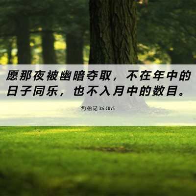 Picture 06 - 约 伯 记 3:6 CUVS - 愿 那 夜 被 幽 暗 夺 取 ， 不 在 年 - Bible Verse Picture