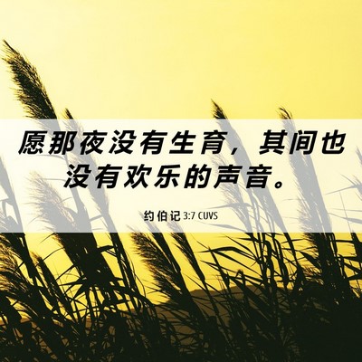 Picture 06 - 约 伯 记 3:7 CUVS - 愿 那 夜 没 有 生 育 ， 其 间 也 没 - Bible Verse Picture