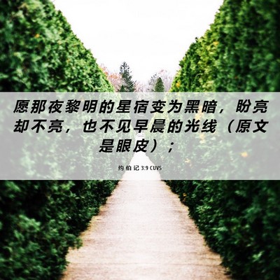 Picture 06 - 约 伯 记 3:9 CUVS - 愿 那 夜 黎 明 的 星 宿 变 为 黑 暗 - Bible Verse Picture