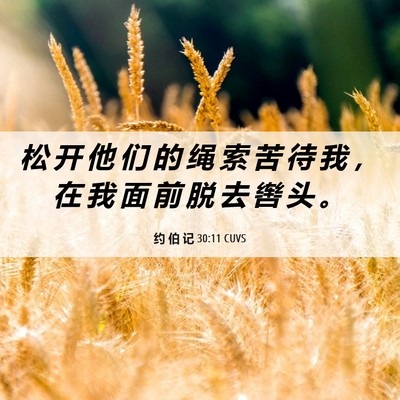 Picture 06 - 约 伯 记 30:11 CUVS - 松 开 他 们 的 绳 索 苦 待 我 ， 在 - Bible Verse Picture