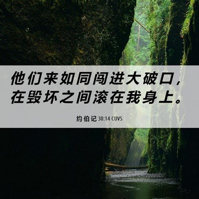 Picture 06 - 约 伯 记 30:14 CUVS - 他 们 来 如 同 闯 进 大 破 口 ， 在 - Bible Verse Picture