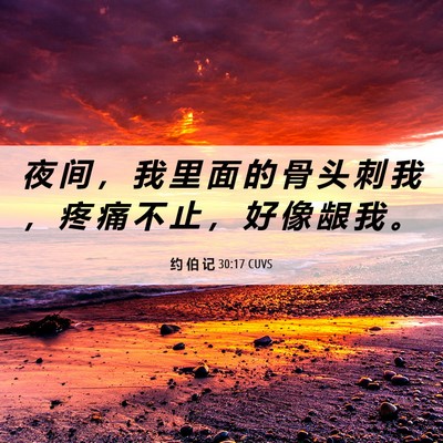 Picture 06 - 约 伯 记 30:17 CUVS - 夜 间 ， 我 里 面 的 骨 头 刺 我 ， - Bible Verse Picture