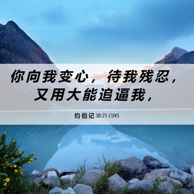 Picture 06 - 约 伯 记 30:21 CUVS - 你 向 我 变 心 ， 待 我 残 忍 ， 又 - Bible Verse Picture