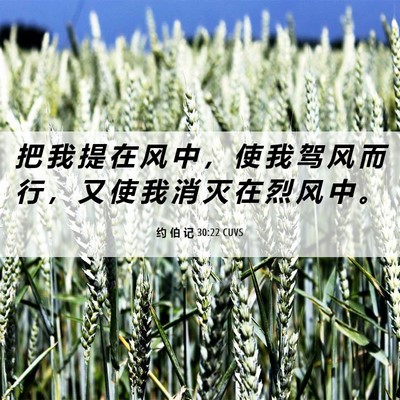 Picture 06 - 约 伯 记 30:22 CUVS - 把 我 提 在 风 中 ， 使 我 驾 风 而 - Bible Verse Picture