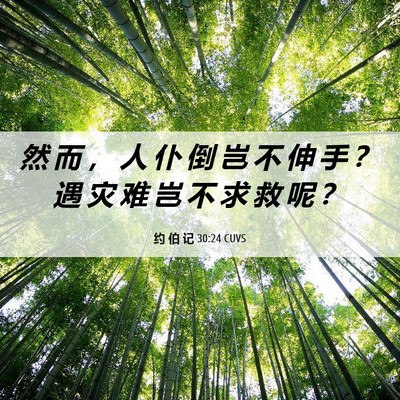 Picture 06 - 约 伯 记 30:24 CUVS - 然 而 ， 人 仆 倒 岂 不 伸 手 ？ 遇 - Bible Verse Picture