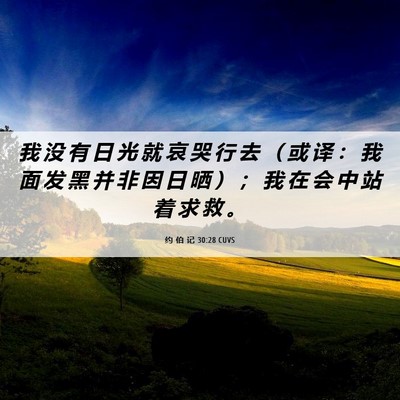 Picture 06 - 约 伯 记 30:28 CUVS - 我 没 有 日 光 就 哀 哭 行 去 （ 或 - Bible Verse Picture
