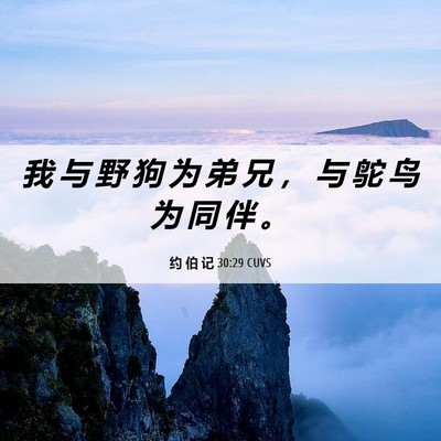 Picture 06 - 约 伯 记 30:29 CUVS - 我 与 野 狗 为 弟 兄 ， 与 鸵 鸟 为 - Bible Verse Picture