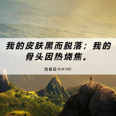 Picture 06 - 约 伯 记 30:30 CUVS - 我 的 皮 肤 黑 而 脱 落 ； 我 的 骨 - Bible Verse Picture