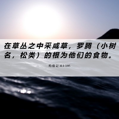 Picture 06 - 约 伯 记 30:4 CUVS - 在 草 丛 之 中 采 咸 草 ， 罗 腾 （ - Bible Verse Picture
