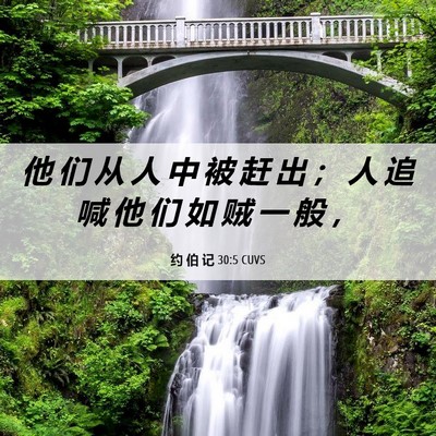 Picture 06 - 约 伯 记 30:5 CUVS - 他 们 从 人 中 被 赶 出 ； 人 追 喊 - Bible Verse Picture