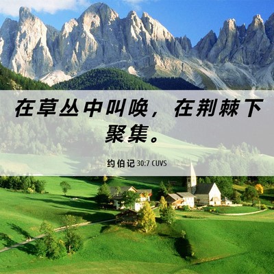 Picture 06 - 约 伯 记 30:7 CUVS - 在 草 丛 中 叫 唤 ， 在 荆 棘 下 聚 - Bible Verse Picture