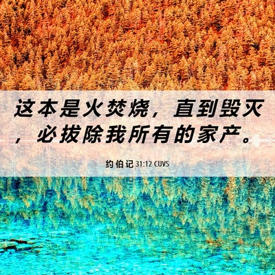 Picture 06 - 约 伯 记 31:12 CUVS - 这 本 是 火 焚 烧 ， 直 到 毁 灭 ， - Bible Verse Picture
