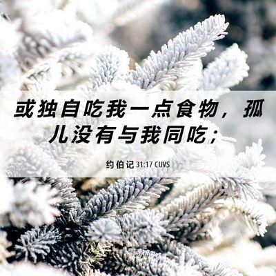 Picture 06 - 约 伯 记 31:17 CUVS - 或 独 自 吃 我 一 点 食 物 ， 孤 儿 - Bible Verse Picture