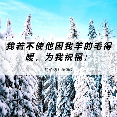 Picture 06 - 约 伯 记 31:20 CUVS - 我 若 不 使 他 因 我 羊 的 毛 得 暖 - Bible Verse Picture