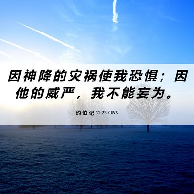 Picture 06 - 约 伯 记 31:23 CUVS - 因 神 降 的 灾 祸 使 我 恐 惧 ； 因 - Bible Verse Picture