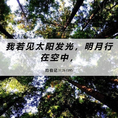 Picture 06 - 约 伯 记 31:26 CUVS - 我 若 见 太 阳 发 光 ， 明 月 行 在 - Bible Verse Picture