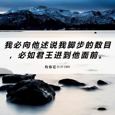 Picture 06 - 约 伯 记 31:37 CUVS - 我 必 向 他 述 说 我 脚 步 的 数 目 - Bible Verse Picture