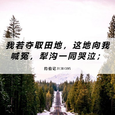 Picture 06 - 约 伯 记 31:38 CUVS - 我 若 夺 取 田 地 ， 这 地 向 我 喊 - Bible Verse Picture