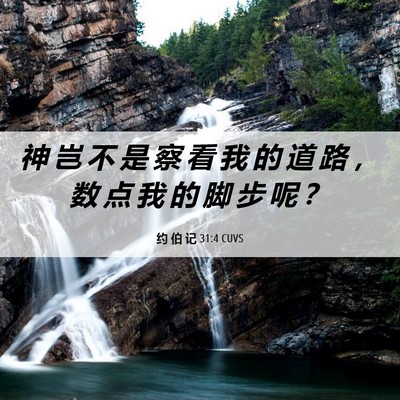 Picture 06 - 约 伯 记 31:4 CUVS - 神 岂 不 是 察 看 我 的 道 路 ， 数 - Bible Verse Picture