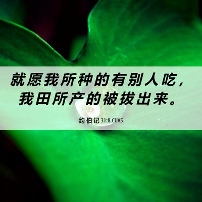 Picture 06 - 约 伯 记 31:8 CUVS - 就 愿 我 所 种 的 有 别 人 吃 ， 我 - Bible Verse Picture