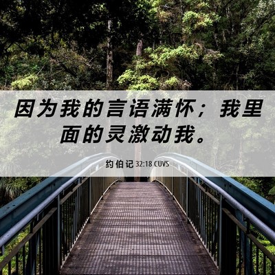 Picture 06 - 约 伯 记 32:18 CUVS - 因 为 我 的 言 语 满 怀 ； 我 里 面 - Bible Verse Picture