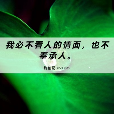 Picture 06 - 约 伯 记 32:21 CUVS - 我 必 不 看 人 的 情 面 ， 也 不 奉 - Bible Verse Picture