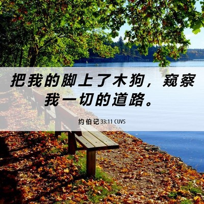 Picture 06 - 约 伯 记 33:11 CUVS - 把 我 的 脚 上 了 木 狗 ， 窥 察 我 - Bible Verse Picture