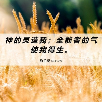 Picture 06 - 约 伯 记 33:4 CUVS - 神 的 灵 造 我 ； 全 能 者 的 气 使 - Bible Verse Picture
