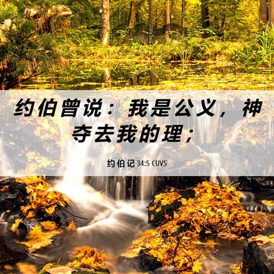 Picture 06 - 约 伯 记 34:5 CUVS - 约 伯 曾 说 ： 我 是 公 义 ， 神 夺 - Bible Verse Picture