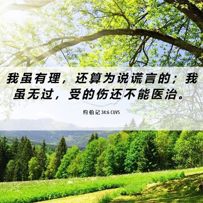 Picture 06 - 约 伯 记 34:6 CUVS - 我 虽 有 理 ， 还 算 为 说 谎 言 的 - Bible Verse Picture