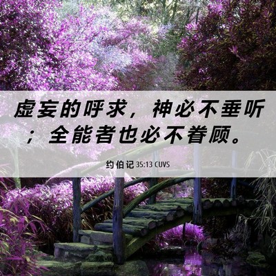 Picture 06 - 约 伯 记 35:13 CUVS - 虚 妄 的 呼 求 ， 神 必 不 垂 听 ； - Bible Verse Picture